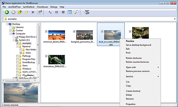 ShellBrowser Components Delphi Edition Screenshot